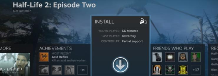 steambigpic3