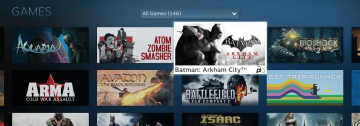 steambigpic4