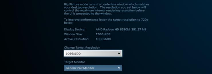 steambigpic5
