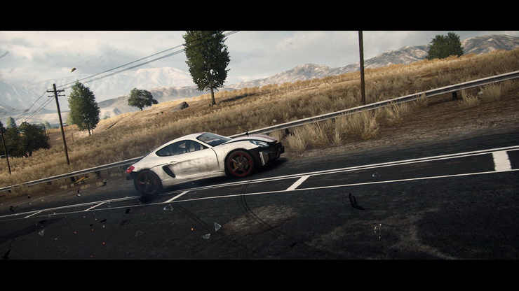 NFS11-10