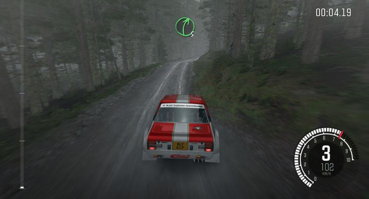 Dirt Rally Snap4