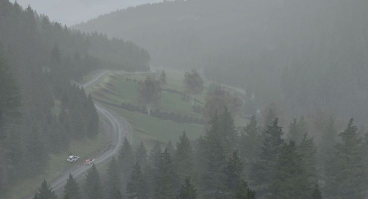 Dirt Rally Snap5