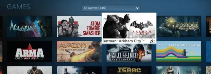 steambigpic4