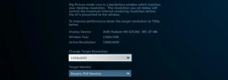 steambigpic5