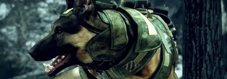 RileyTheDog
