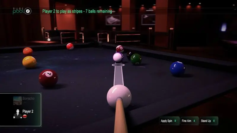 PurePool4
