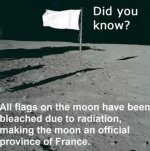 moon flag.jpg