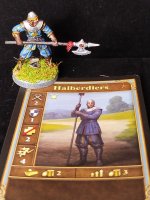 1. Halberdier .jpg