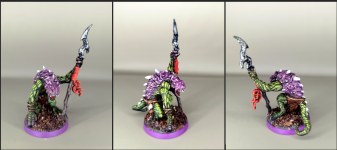 1. Troglodytes.png
