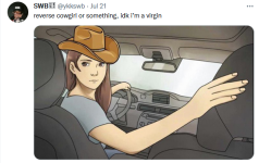 reversecowgirl.png
