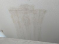 IMG_463462624.jpg