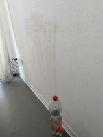 IMG_846746.jpg