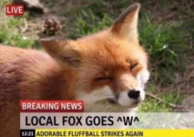 1683873755671.png