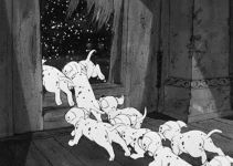 giphy.gif
