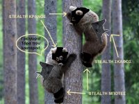 stealth-bears.jpg