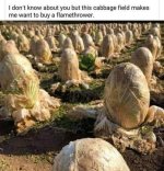 1000003864.jpg
