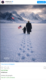 babuinandpenguin.png