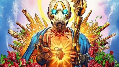 Borderlands 3 Cover