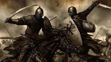Mount and Blade banner