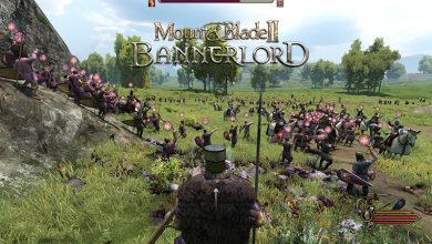 Mount & Blade Bannerlord Banner