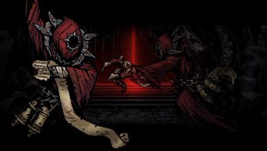 Darkest Dungeon Necromancer