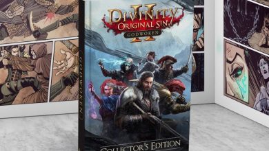 Divnity Original Sin Graphic Novel