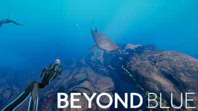 Beyond Blue Banner