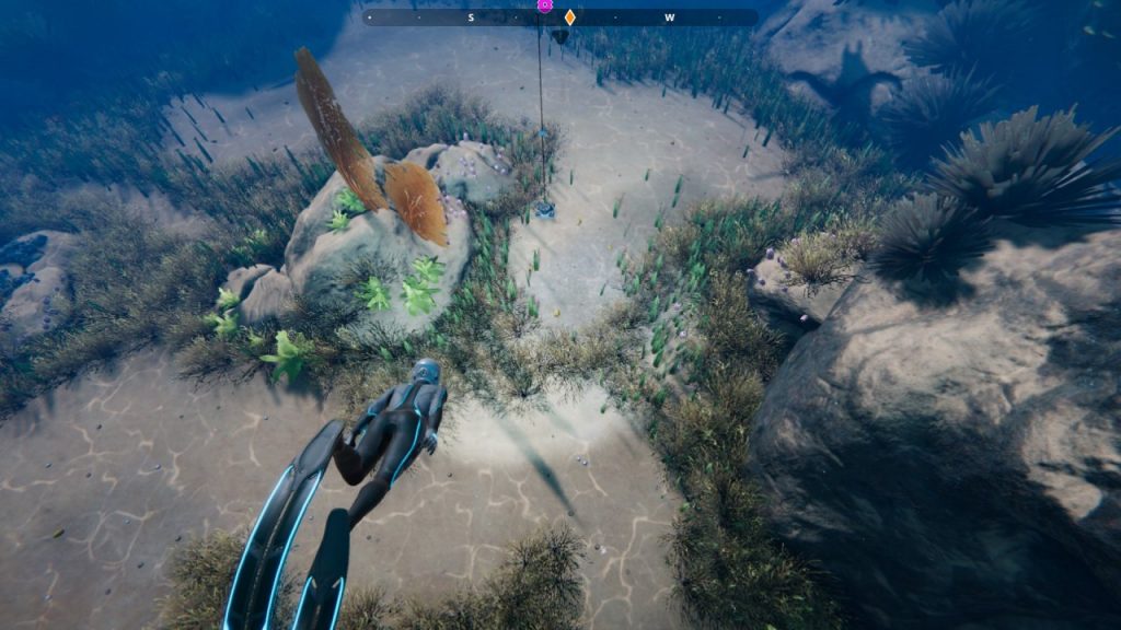 Beyond Blue Ocean Floor