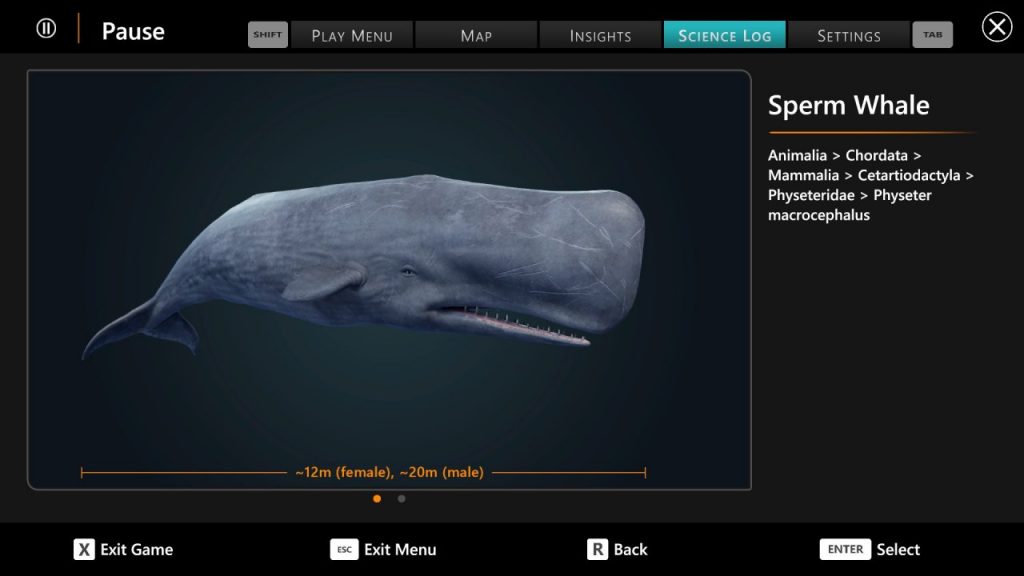 Beyond Blue Sperm Whale