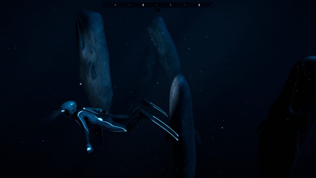 Beyond Blue Whale Family