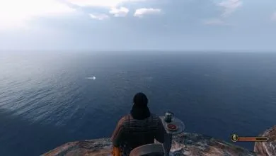 Bannerlord gazing at the sea