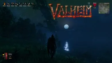 Valheim Banner