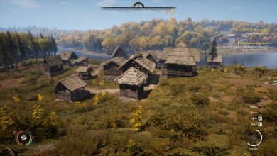 Medieval Dynasty Village