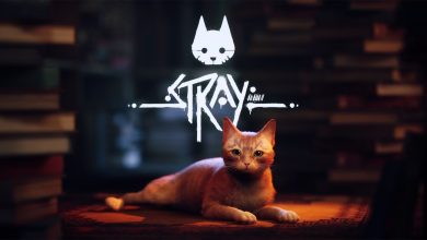 Stray game banner