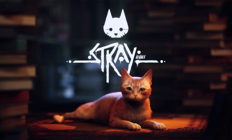 Stray game banner