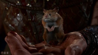 Boo in Baldur's Gate 3