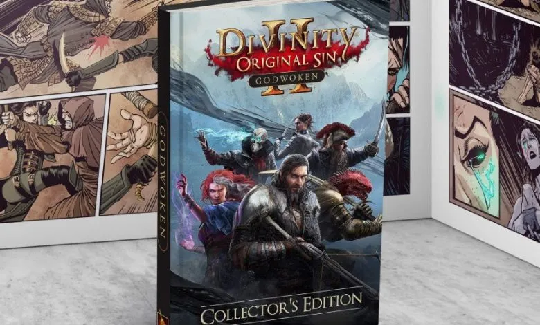 Divnity Original Sin Graphic Novel