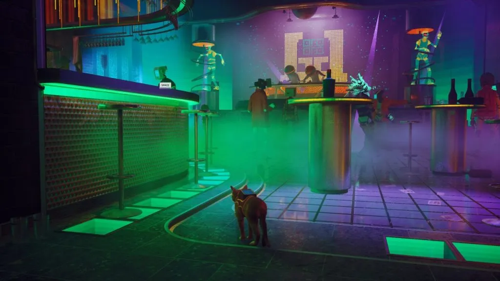 Α cat walks into a bar