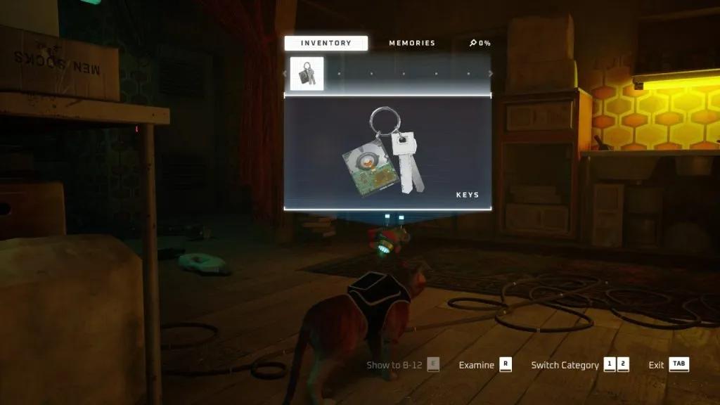 Stray inventory