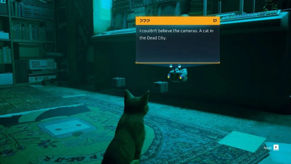 Stray companion B12