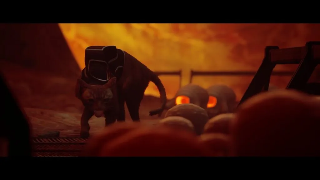 Stray scared under attack