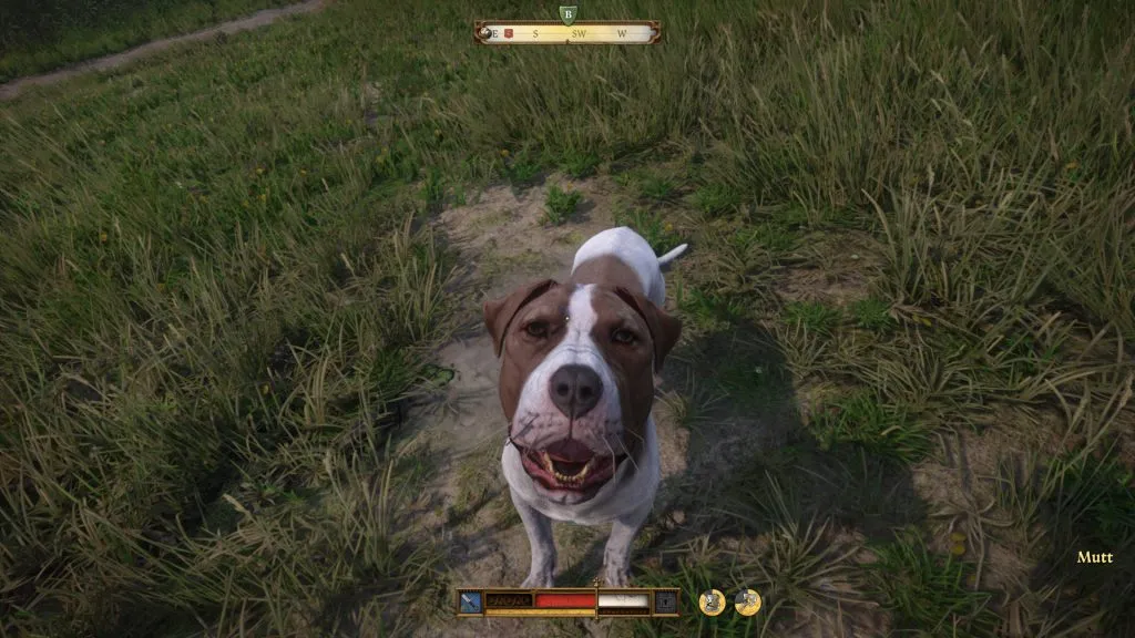 Mutt in Kingdom Come Deliverance 2